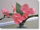 Fresh flowers